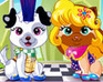 play Pet Fashion Contest