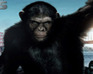Hidden Alphabets-Rise Planet Apes