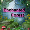 play Enchanted Forest