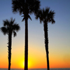 play Jigsaw: Florida Sunrise