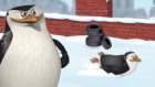 The Penguins Of Madagascar: Arctic Boot Camp Blitz