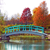 Jigsaw: Monet Bridge