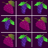 play Tic Tac Toe Grape