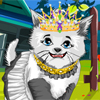 play Kitty Cat Fashion Styling