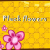 play Pluckflowers