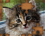 play Jigsaw Puzzles