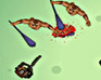 play Zombies Attack