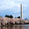 play Jigsaw: Washington Spring