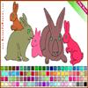 play Rabbit Coloring