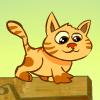 play Cat Vac