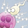 play Spermaroids