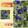 play Row Puzzle - Flowers