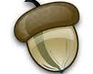 play Find The Acorn!! The Sequal