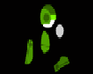 play Gorb