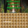 play 60 Second Word Search - Hungarian Edition