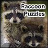play Raccoon Puzzles