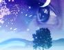 play Fantasy: An Incomplete Dream