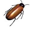 play Cockroaches