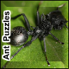 play Ant Puzzles