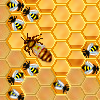 play Honeysweeper