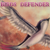 play Birds Defender