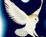 play Eagle'S Quest