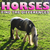 play Differences: Horses