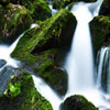 play Jigsaw: Stream And Moss