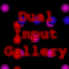 play Dual Input Gallery