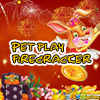 play Pet Play Firecracker