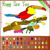 play Bird Coloring