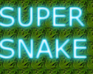 play Super Snake