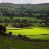 Jigsaw: Yorkshire Countryside