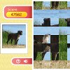 Row Puzzle - Dog