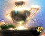 play Coral Cup 2