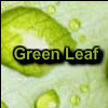 play Green Leaf