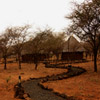 play Jigsaw: Safari Camp