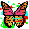play Butterfly