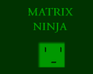 play Matrix Ninja