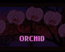 play Orchid