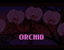 Orchid