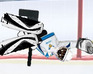 play Ragdoll Hockey Goalie