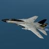 play Tomcat Aircraft