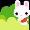 play Bear Catch Rabbit