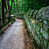 Jigsaw: Wall Path