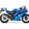 play Ninja 250R Motorbike