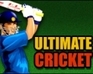 play Ultimate Cricket