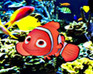 play Find The Nemo