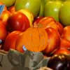 play Hidden Pumpkins Market