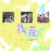 play 可爱找茬